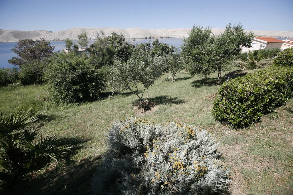 Apartments Roza Miškovići Εξωτερικό φωτογραφία