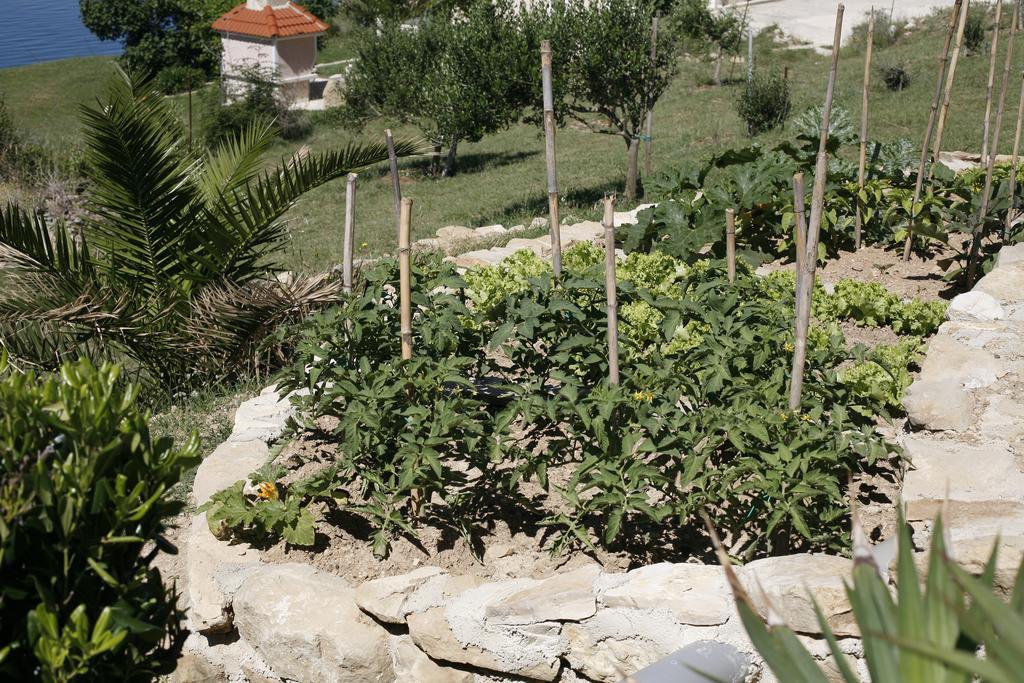 Apartments Roza Miškovići Εξωτερικό φωτογραφία